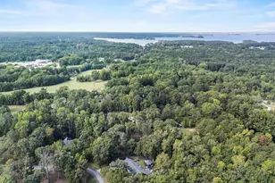 121 Midway Farms Dr, Lexington, SC 29072 - Photo 63