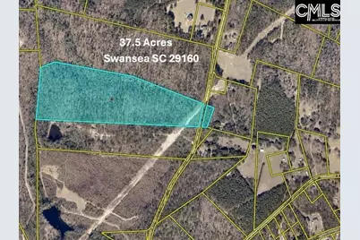 Farm Road, Swansea, SC 29160 - Photo 1