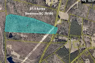 Farm Rd, Swansea, SC 29160 - Photo 1