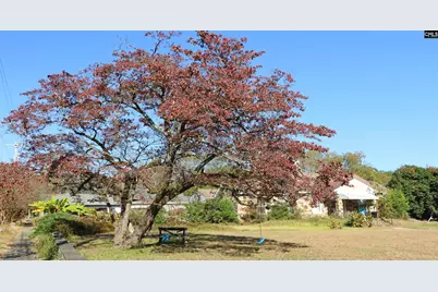 181 Louie Street, Wagener, SC 29164 - Photo 17