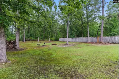 417 Northshore Court, Chapin, SC 29036 - Photo 9