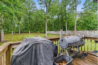 417 Northshore Court, Chapin, SC 29036 - Photo 13