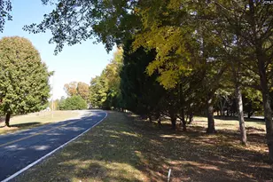 2004 Rolling Hills Rd, Ridgeway, SC 29130 - Photo 5