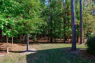 825 Hidden Point Dr, Columbia, SC 29229 - Photo 71