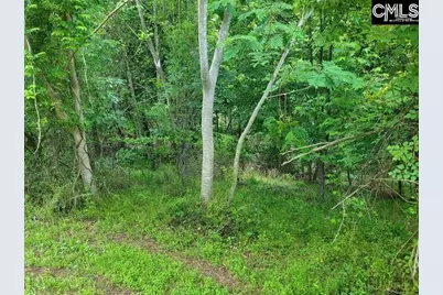 105 River Bluff Court, Columbia, SC 29210 - Photo 13