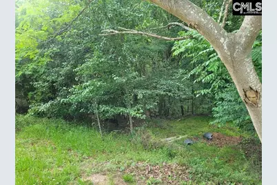 105 River Bluff Court, Columbia, SC 29210 - Photo 11