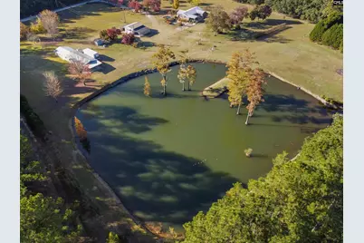 646 Briar Creek Road, Branchville, SC 29432 - Photo 49