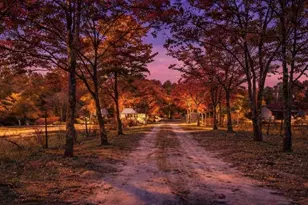 646 Briar Creek Rd, Branchville, SC 29432 - Photo 5