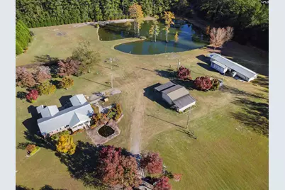 646 Briar Creek Road, Branchville, SC 29432 - Photo 9