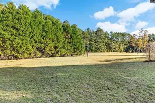 646 Briar Creek Rd, Branchville, SC 29432 - Photo 35