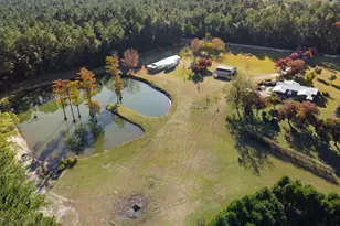 646 Briar Creek Rd, Branchville, SC 29432 - Photo 11