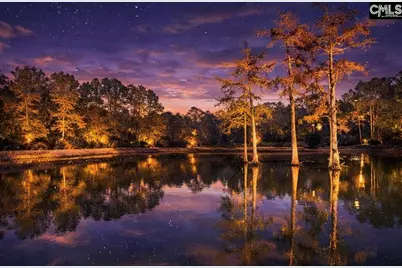 646 Briar Creek Road, Branchville, SC 29432 - Photo 3