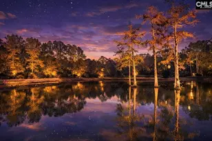 646 Briar Creek Rd, Branchville, SC 29432 - Photo 3