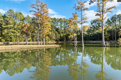 646 Briar Creek Road, Branchville, SC 29432 - Photo 41