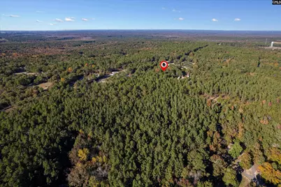 169 Valley Ridge Road, Swansea, SC 29160 - Photo 33