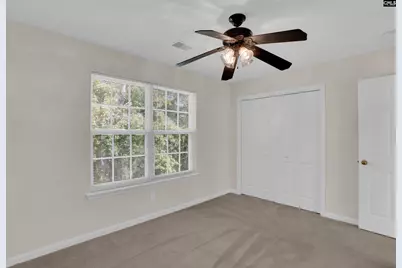 20 Persimmon Wood Court, Irmo, SC 29063 - Photo 37