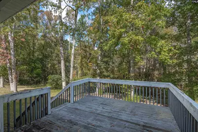 20 Persimmon Wood Court, Irmo, SC 29063 - Photo 55