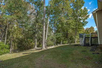20 Persimmon Wood Court, Irmo, SC 29063 - Photo 59