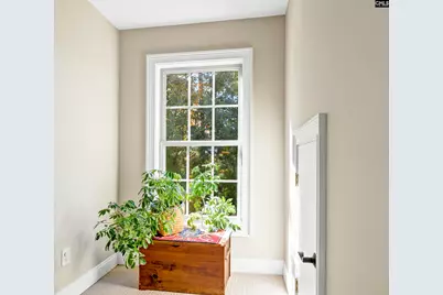 120 Magnolia Key Drive, Chapin, SC 29036 - Photo 45