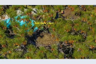 120 Magnolia Key Drive, Chapin, SC 29036 - Photo 7