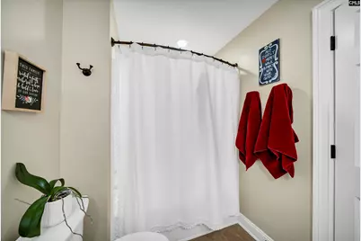 120 Magnolia Key Drive, Chapin, SC 29036 - Photo 39