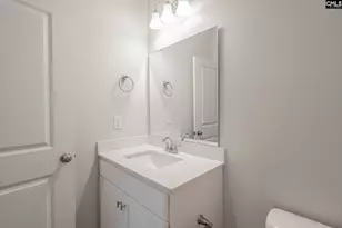 759 Clementine Run, Gilbert, SC 29054 - Photo 3