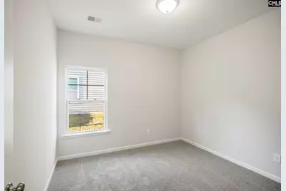 758 Clementine Run, Gilbert, SC 29054 - Photo 13