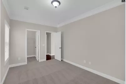 317 Eagle Claw Drive, Chapin, SC 29036 - Photo 19