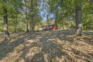 1109 Natures Cove Rd, Saluda, SC 29138 - Photo 9