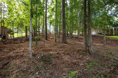 416 Lookover Pointe Drive #32, Chapin, SC 29036 - Photo 11