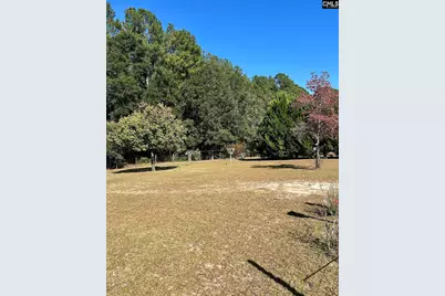 668 Briar Creek Road, Branchville, SC 29432 - Photo 11