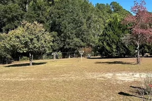 668 Briar Creek Rd, Branchville, SC 29432 - Photo 11