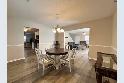 253 Farming Creek Way, Lexington, SC 29072 - Photo 9