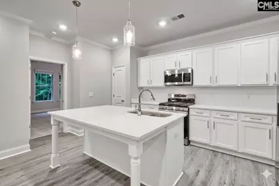 246 Backspin Drive, Elgin, SC 29045 - Photo 3