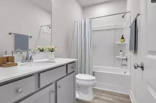 308 Grannys Cut Wy, Chapin, SC 29036 - Photo 19