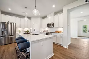 308 Grannys Cut Wy, Chapin, SC 29036 - Photo 3