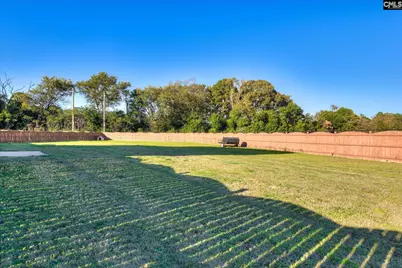 621 Rustic Cabin Lane, Gaston, SC 29053 - Photo 19