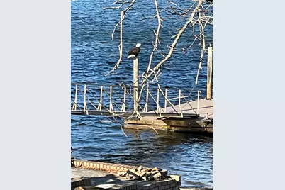 165 Lake Murray Terrace, Lexington, SC 29072 - Photo 17