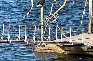 165 Lake Murray Terrace, Lexington, SC 29072 - Photo 17