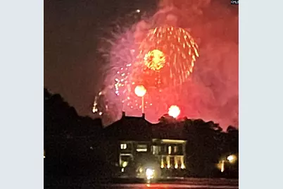 165 Lake Murray Terrace, Lexington, SC 29072 - Photo 19