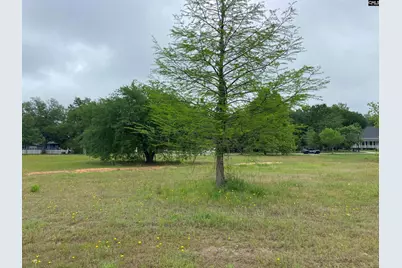 1313 Fair Street, Camden, SC 29020 - Photo 3