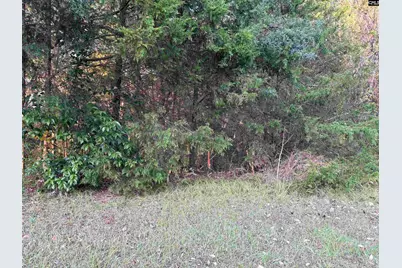 0 Weeping Cherry Lane, Columbia, SC 29212 - Photo 5