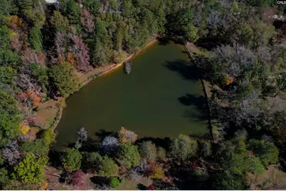 1155 Russ Brown Road, Blythewood, SC 29016 - Photo 73