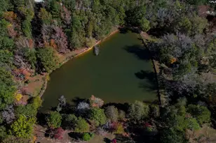 1155 Russ Brown Rd, Blythewood, SC 29016 - Photo 73