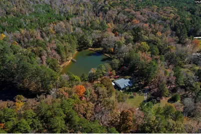 1155 Russ Brown Road, Blythewood, SC 29016 - Photo 71