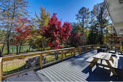 1155 Russ Brown Road, Blythewood, SC 29016 - Photo 49