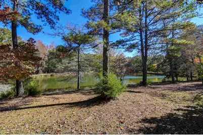 1155 Russ Brown Road, Blythewood, SC 29016 - Photo 53