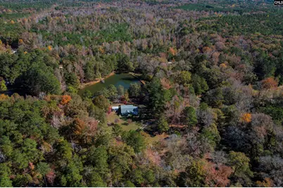 1155 Russ Brown Road, Blythewood, SC 29016 - Photo 69