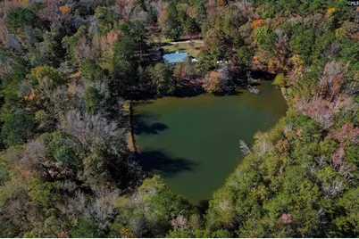 1155 Russ Brown Road, Blythewood, SC 29016 - Photo 63