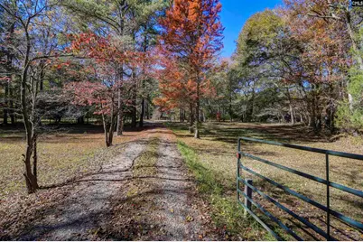 1155 Russ Brown Road, Blythewood, SC 29016 - Photo 7